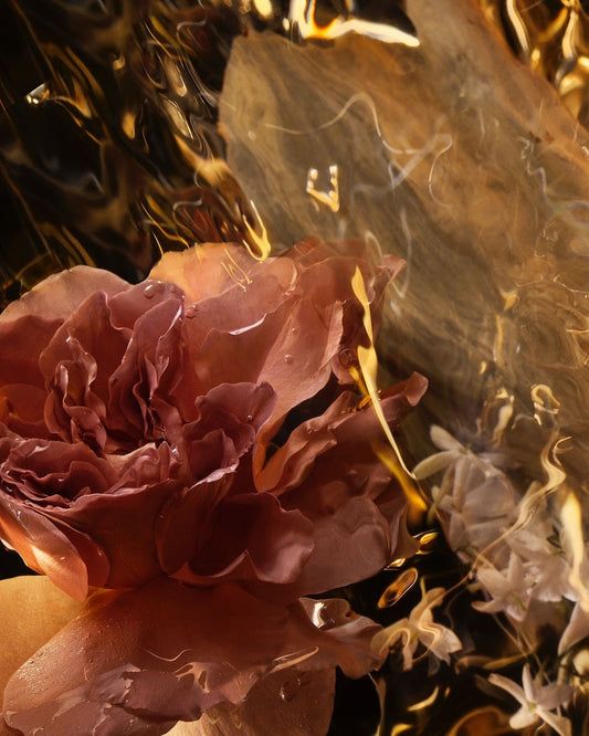 Cipres y sándalo - Fragancia Multi propósito Premium